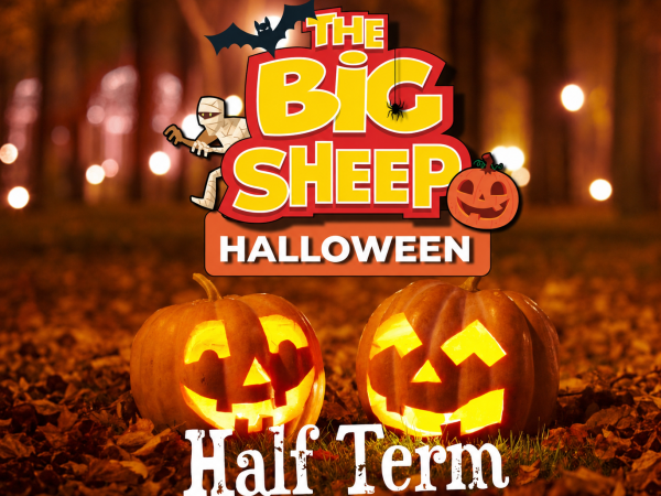 October Half Term 24th Oct - 1st Nov