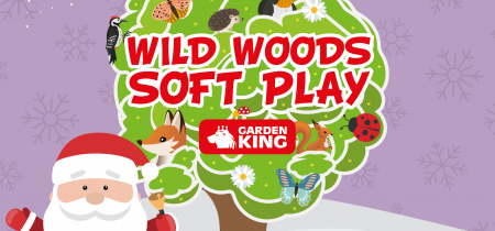 Wild Woods Soft Play with Santa in December