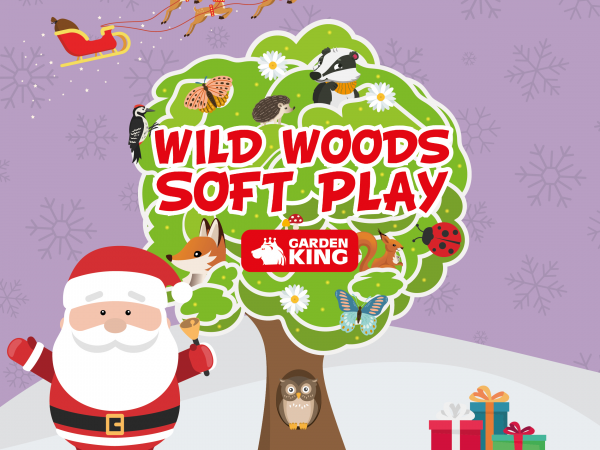 Wild Woods Soft Play with Santa
