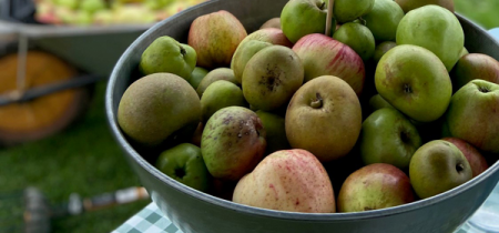 Cider Making Workshop with Orchard Drinks