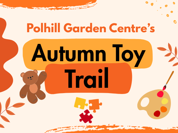 Autumn Toy Trail