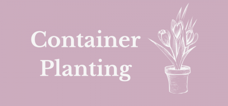 Container Planting