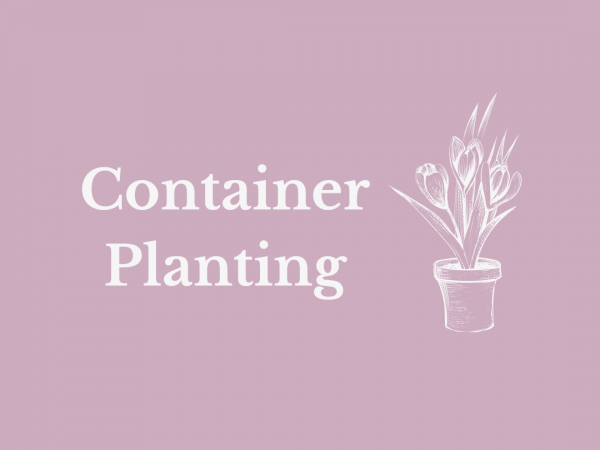 Container Planting