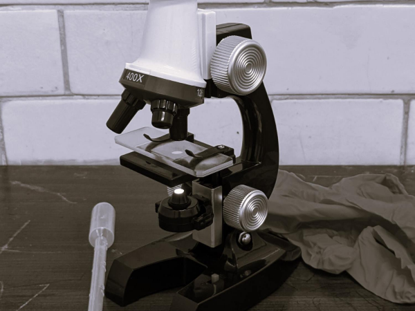 Microscope Forensics: A Family Workshop