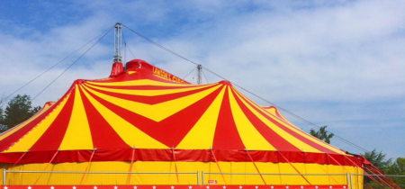 Circus SEN Performance