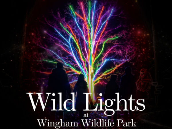 Wild Lights