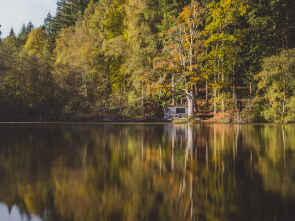 Wild Swim & Sauna Session at Well Read