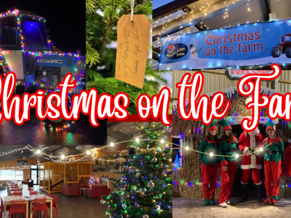 Christmas on the Farm