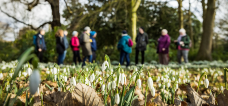 Snowdrops | Head Gardener Walk & Lunch