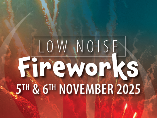 Low Noise Fireworks 2025