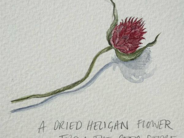 Summer Watercolours for Beginners