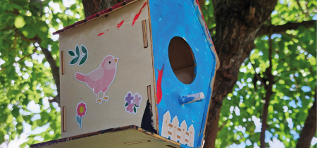 Nest Box Painting