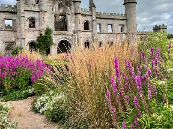 Mighty Perennial Stars of the Tapestry Parterre. 17th September