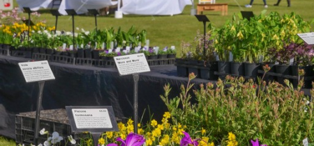 2025 Specialist Plant Fair and Artisan Market