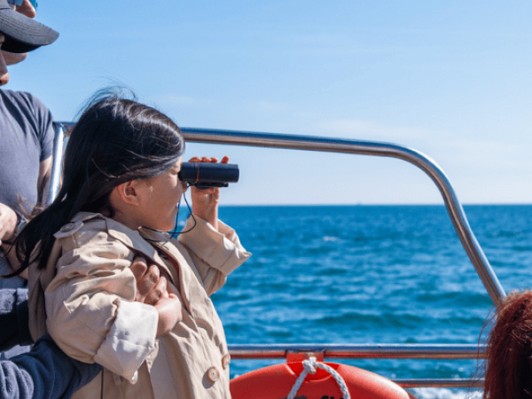 Boat Trips with the Ocean Conservation Trust