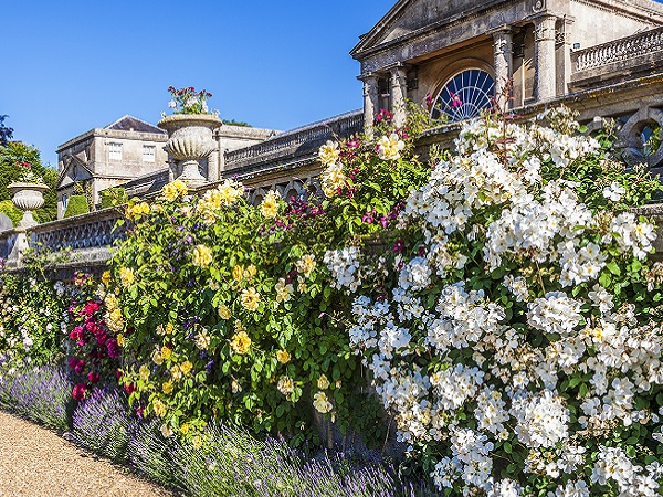 Home Education days - no sessions