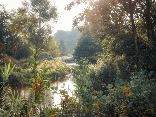 Wider Haddon Estate Conservation & Heritage Walk