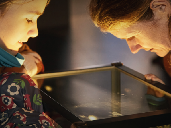 International Museum Day - Free Exhibition Entry