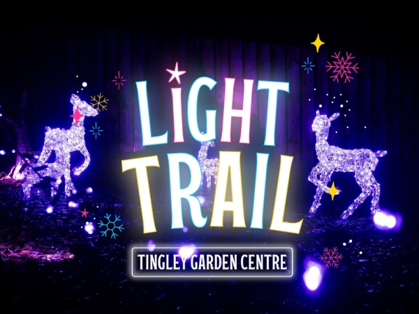 The Light Trail (No Santa's Grotto Experience)