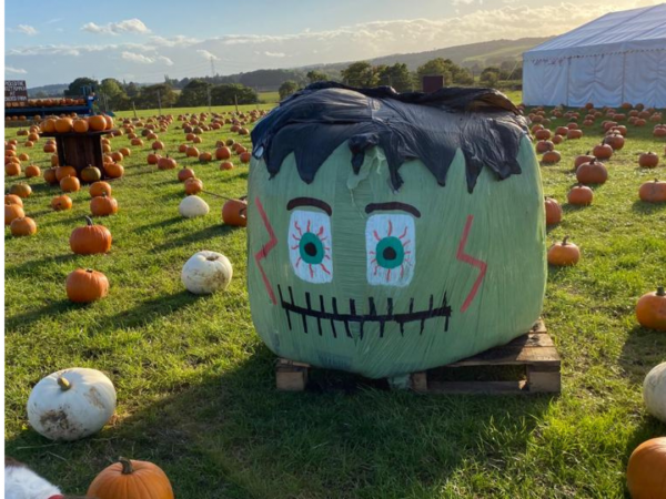 Roberts Farm Pumpkin Patch