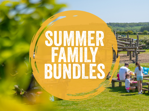 Summer Family Bundles