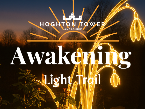 Light Trail - Awakening
