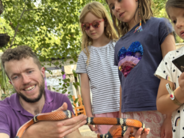 Summer Saver Admission Tickets (5% VAT) - 25/06/26 to 01/09/26