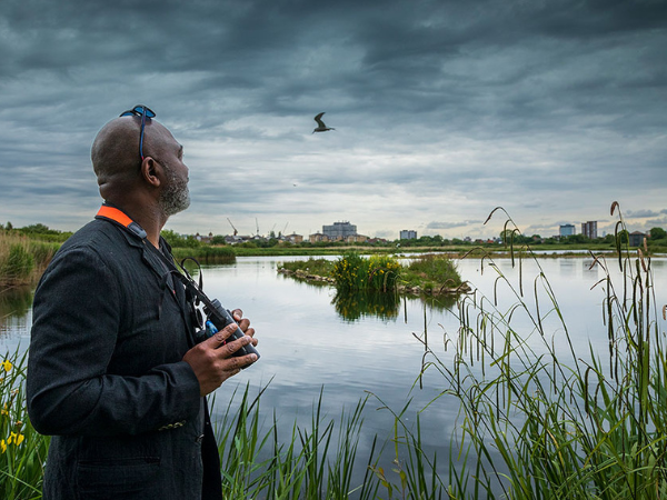 The Urban Birder Course February 2027 (London)