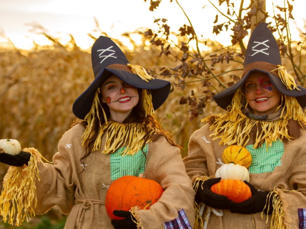 Pumpkin Farm Festival: Daytime