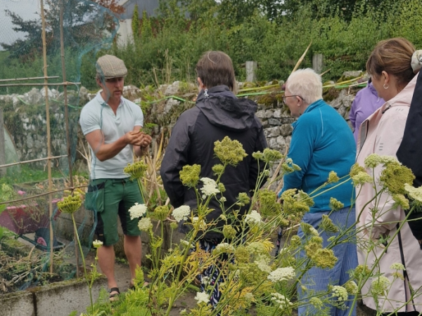 Grow Your Own Greens, Beans & Everything in Between (including Tomatoes) with Colman Power