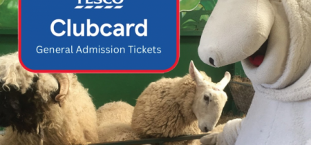 Tesco General Admission Easter Holidays 5th - 21st April