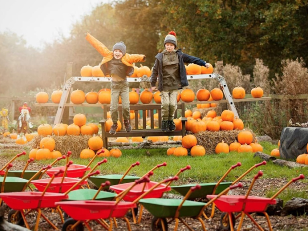 Halloween & Pumpkin Festival