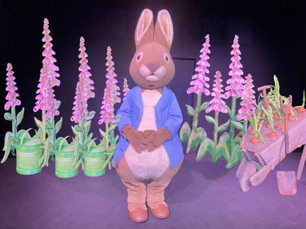 Meet Peter Rabbit after the 3.30pm Show