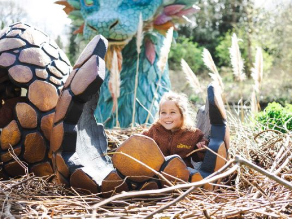 The Great Dragon Egg Quest September WEnds