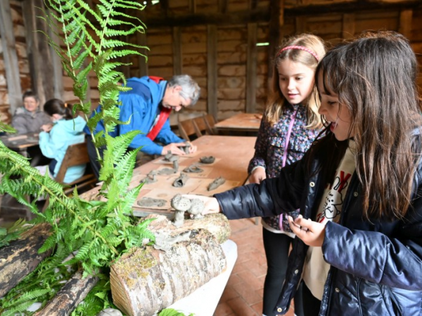 Terrific Tuesday 26 May