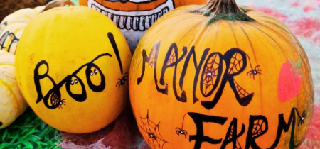 Pumpkin Fest by Day Admission