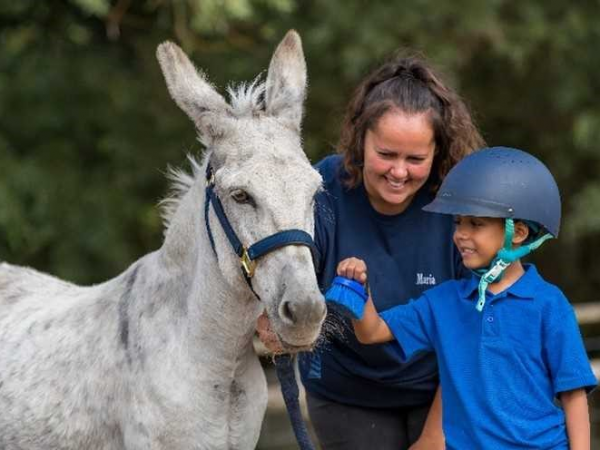 Pony Grooming VIP Experience