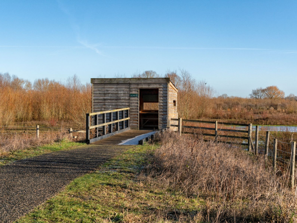 Walk & Talk: Willow, Wetlands and Waders