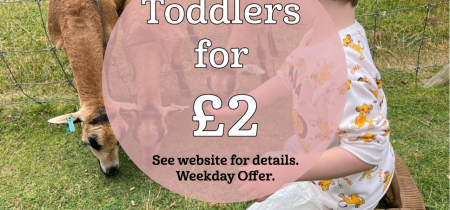 Toddlers for £2 Weekday Special (4th Sept - 20th Sept) Online Only