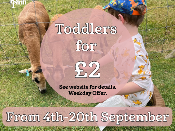 Toddlers for £2 Weekday Special (4th - 30th Sept) Online Only