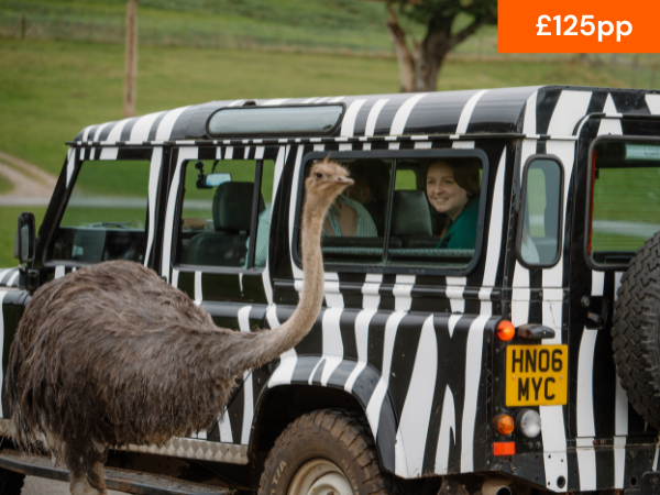 VIP BRONZE SAFARI TOUR