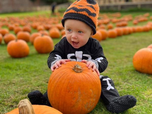 Pumpkin Fest 2025