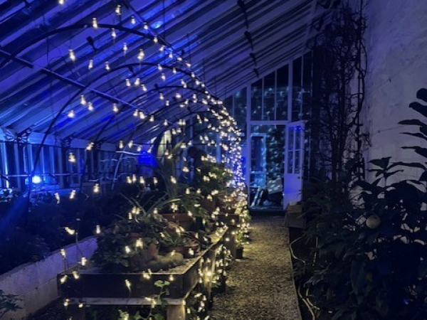 Clovelly Court Gardens Winter Illuminations