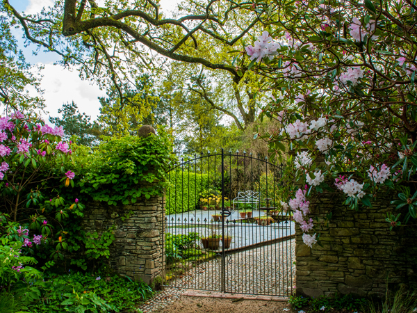 Unveiling Heligan