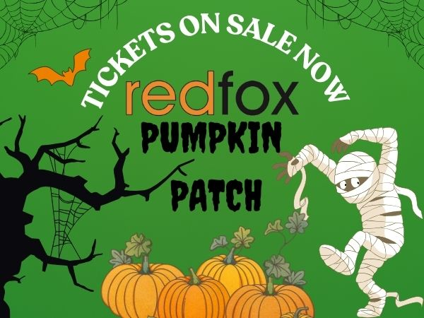 Pumpkin Patch