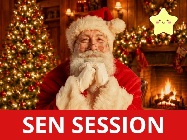 Santa's Grotto: SEN SESSION