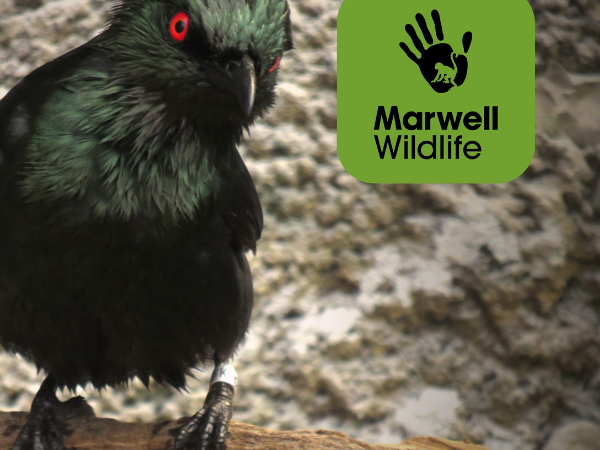 Avian Life Support Systems Workshop