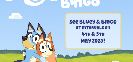 See Bluey & Bingo