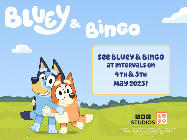 See Bluey & Bingo