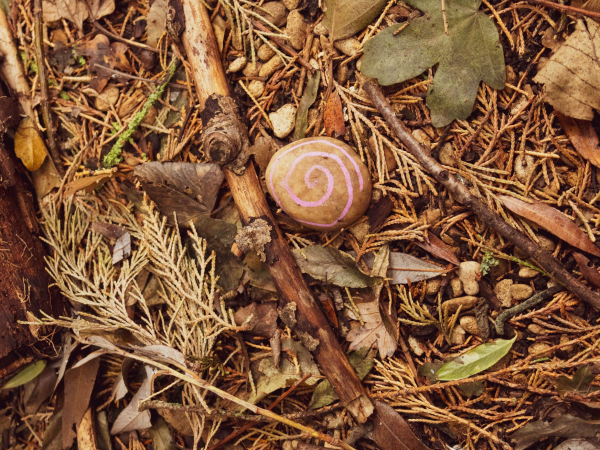 Forest School- Age 5-8 yrs 